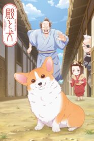 殿と犬